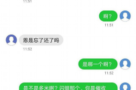 林州债务清欠服务